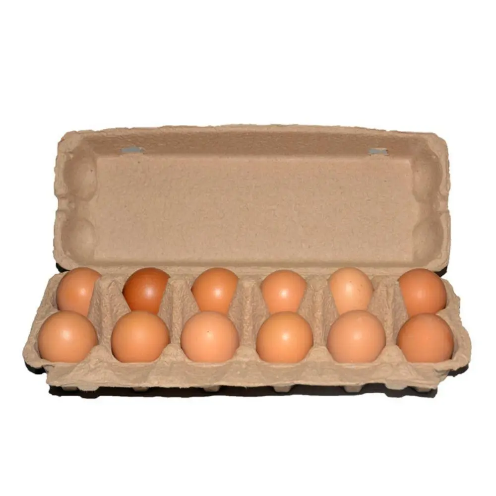 Free-range chicken egg